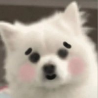 Vyxtor (@vyxtor336) 's Twitter Profile
