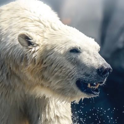 ogGhostCode's profile picture. 