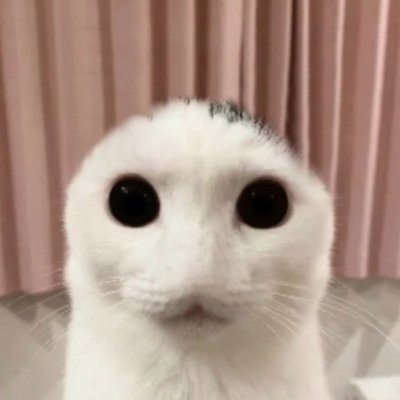 oldest_male's profile picture. 20 | I don't post anything here, I just look at stuff