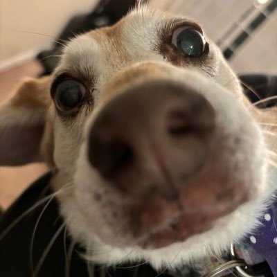 Pun and post, until it is done… Letterboxd: https://t.co/nBZ4XWbZDy