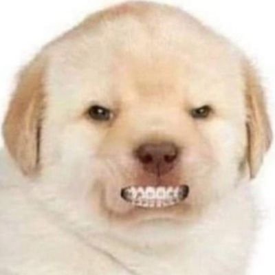 Manimhereliving's profile picture. 21

ahhh Don't  look at me! 👁👁 I'm shy.