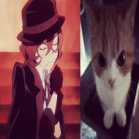 chae | 📌 (@chae1347535) 's Twitter Profile