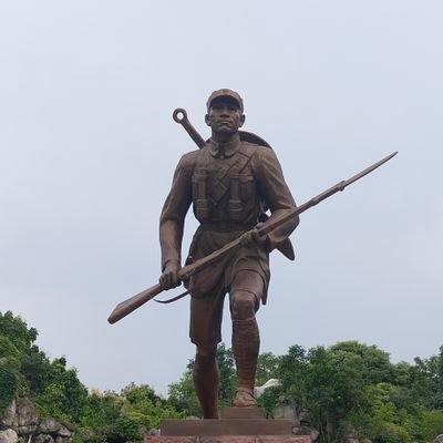 Laocaonyy's profile picture. 