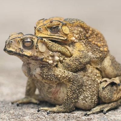 jeongyeseog14's profile picture. 💦 🐳 🐋 💦