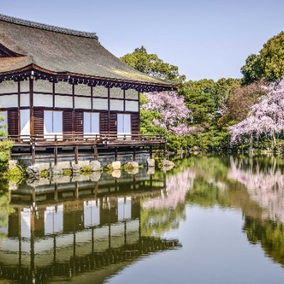 PettitLari78998's profile picture. 