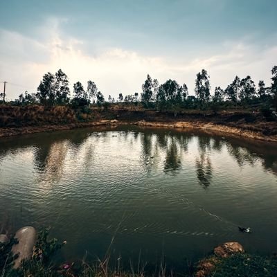 nabyendu23473's profile picture. 