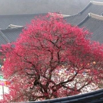 itjung74's profile picture. 건강,가족,시간 =잃어버고서는 돈주고살수없는 것들