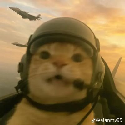 breadnipatty's profile picture. Sweet disposition