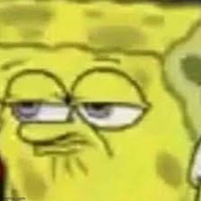 PolfinBoy567's profile picture. 