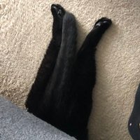 りゅう (@ryu_wanpi) 's Twitter Profile