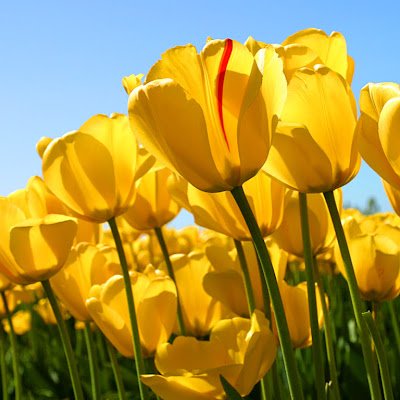 F_Hajitabar's profile picture. 