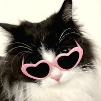 m e π \|/ (@jenforeves) 's Twitter Profile