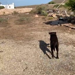 Qawvec7347's profile picture. 📊 cool stock investing? That’s me, a smart girl! curious for market views. DM me for futures trading! 🔥 #Stocks #Finance