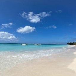 Oorofouj561's profile picture. 🎯 capturing ETF opportunities lover, brave girl! open to insights. DM me about ETF strategies! ⚡ #Finance #Wealth