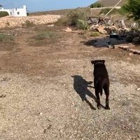 Poujuj (@poujuj03095) 's Twitter Profile
