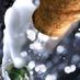 What's On in Newbury (@whatsonnewbury) Twitter profile photo What's On in Newbury (@whatsonnewbury) Twitter profile photo
