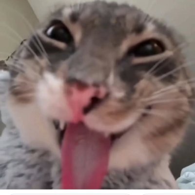 Danmich1299's profile picture. 