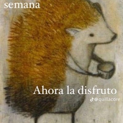 lincxnesugar's profile picture. Escribo historias.