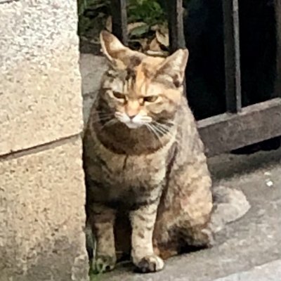 NobutakaM52847's profile picture. 