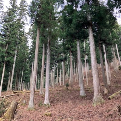 yama272933's profile picture. 2027中受予定の長女、2029中受予定の次女の父親。地元校舎でのんびり(?)N生活を楽しんでいます。