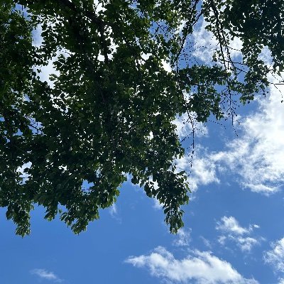 bugyeje72040949's profile picture. 