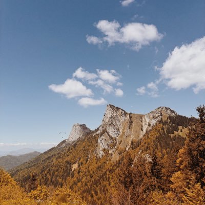 gcuv_1's profile picture. 