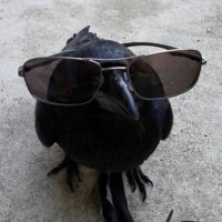๋ฅ์ง (@bpbpdb) 's Twitter Profile Photo ๋ฅ์ง (@bpbpdb) 's Twitter Profile Photo