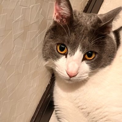 えりさんのプロフィール画像