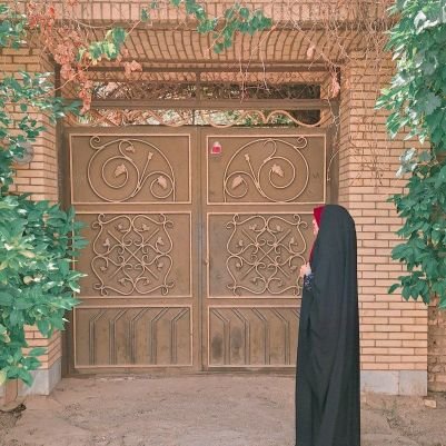 چو برکه ام که مرگ من همان سکون من است!🌊
#دهه_هشتادی
#میم_کاف
علاقهمند به داشتن یک زندگی معمولی؛