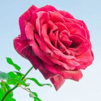 Arun Yadav Army (@arunyadavarmy) 's Twitter Profile Photo Arun Yadav Army (@arunyadavarmy) 's Twitter Profile Photo