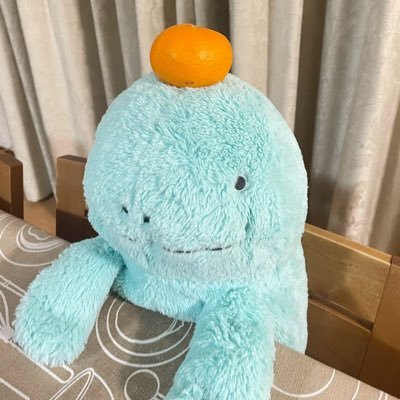 nuohtorin's profile picture. 基本フォロバします！27歳の女りむこ(主)💚といつもおなかがすいているぬーちゃん♂(大)🩵とちびぬおちゃん♀(小)💙@rinmi980113予備垢