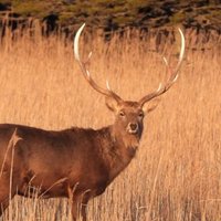 とかちR🚗 (@r_kun0521) 's Twitter Profile