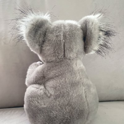 HizaFairy's profile picture. コアラ初心者💭マレーバクとコアラと齧歯類に夢中な妖精💭ぬい活しながら推し草食さんたちに逢うためリハビリおさんぽ中🩹アイコンはコアラのアイビス💭無言フォロー失礼します🐁たんぽぽ＆ひなぎくちゃんとポポロ💭シャイニーちゃん💭💓LOVEスカイ君💓💭