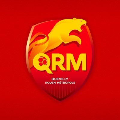 QRM 🐆 Profile