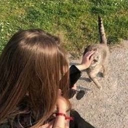 Klulaup49018's profile picture. 