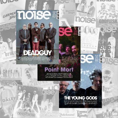 New Noise, le magazine qui surestime les goûts musicaux des Français.