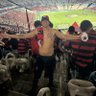 mtmoreira98's profile picture. Onde encontrares um Flamengo, encontrarás um amigo