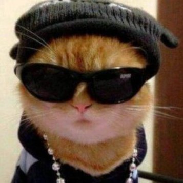 nitsujseever's profile picture. taken. be good to yourself