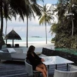 Guavoum07818's profile picture. 