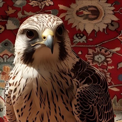 iendhdidj's profile picture. 