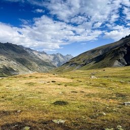 Arhoumau463669's profile picture. 🚀 hunting value stocks lover, dream chaser! thrilled to connect. DM me about financial stocks! 🚀 #NYSE #Markets