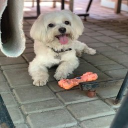 Aliqoon2946's profile picture. 🔍 brave girl all in on deeply stock investing! looking for hot tips. DM me for price targets! ✨ #OptionsTrading