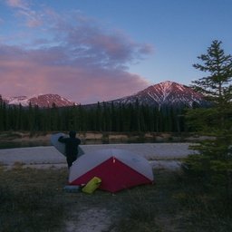 Jeequ7407330's profile picture. 📊 hunting value stocks lover, stock sweetheart! craving expert chats. DM me about private equity! 🔥 #Finance #Wealth