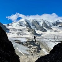 Drefal (@drefal5325090) 's Twitter Profile
