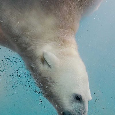 LloydTerza32102's profile picture. 