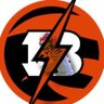 BengalzFlash's profile picture. Who Dey