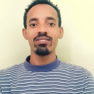 IT grad offering web development, bug fixing, research, content writing, data entry, and English-Amharic translation. Reliable and detail-oriented.
