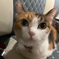 maskumz (@maskumz88) Twitter profile photo