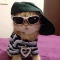 Alin (@alinkrowed) 's Twitter Profile