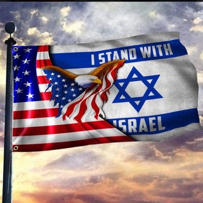 HadronLarge's profile picture. Go, los Angeles rams,  los Angeles chargers, Patriots,  green bay packers, Vikings, San Francisco 49ers, Eagles, Atlanta Falcons, Seattle seahawks